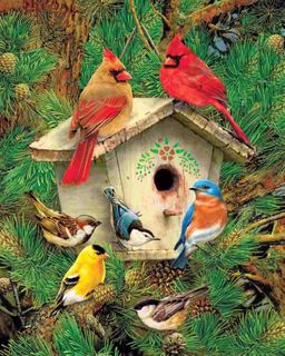Feathered Retreat 1000 Piece Jigsaw Puzzle