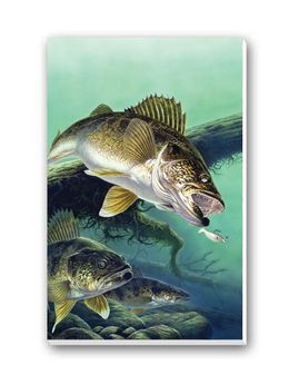 Anglers Dream Tally Sheets Playing Cards Accessory