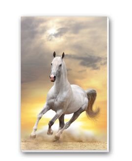 Horses Tally Sheets Playing Cards Accessory