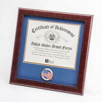 American Flag Medallion 8-Inch by 10-Inch Certificate Frame