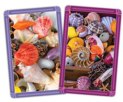 Seashells Jumbo Index Playing Cards