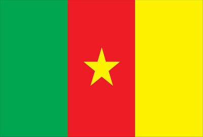 Cameroon World Flag