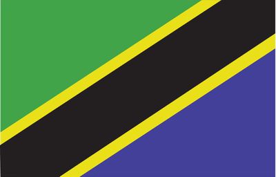 Tanzania World Flag