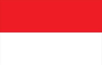 Indonesia World Flag