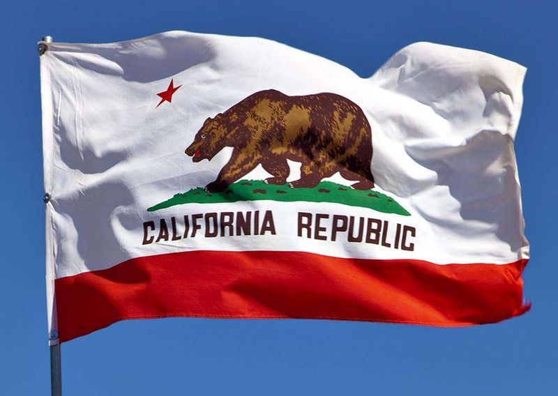 3dRose lsp_158295_2 Flag of California Republic Us American State United States of America The Bear Flag White Red Double Toggle Switch