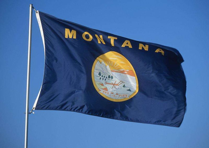 Montana State Flags - Nylon & Polyester - 2' x 3' to 5' x 8'