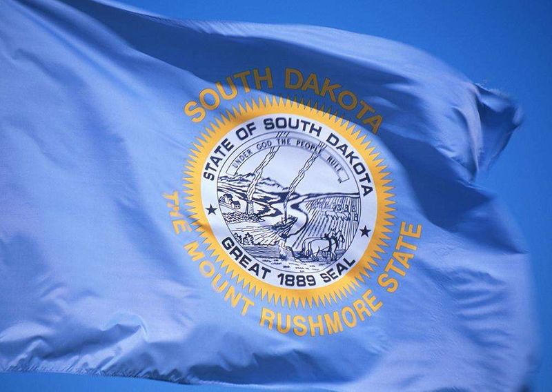 South Dakota State Historic 4"x6" Flag on a Pole NEW