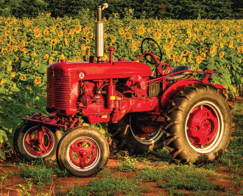 jigsaw puzzles in stock